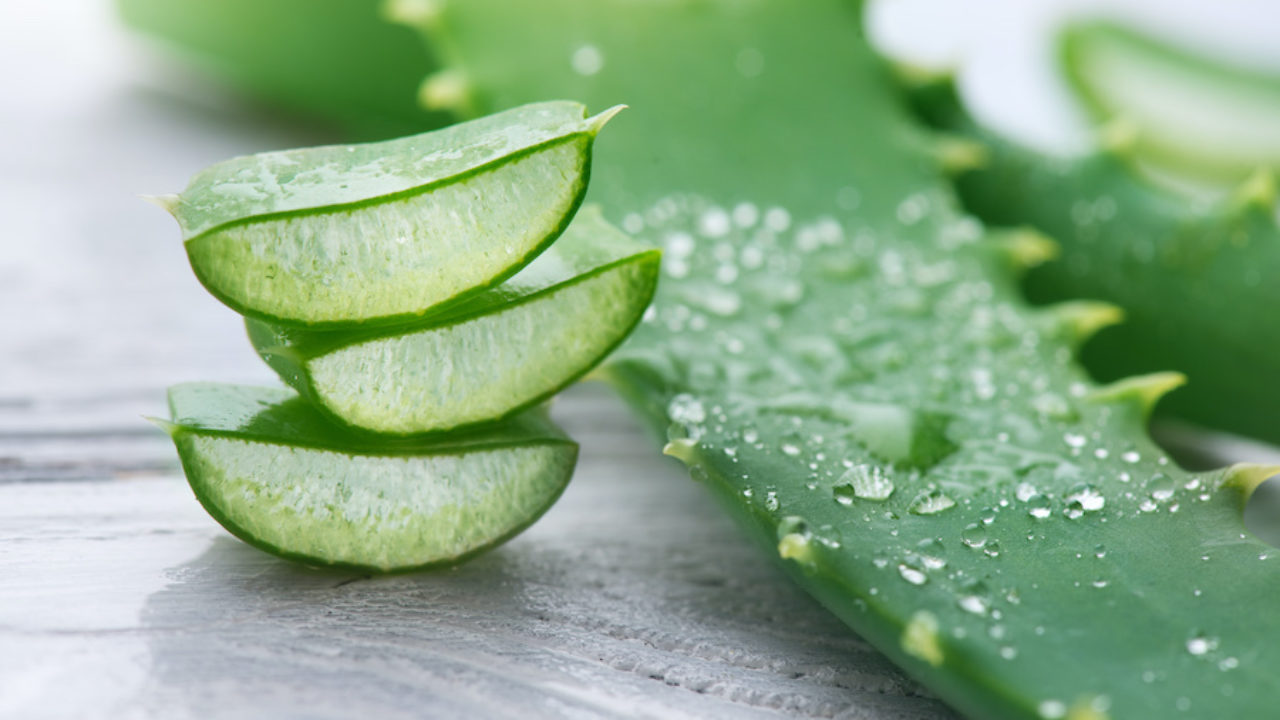 Is Aloe Vera Good For Psoriasis? -