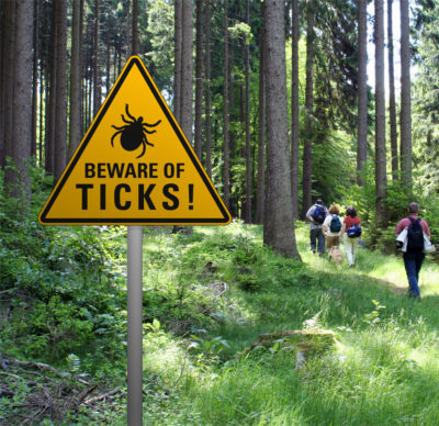 Ökning av Borrelia fall?
