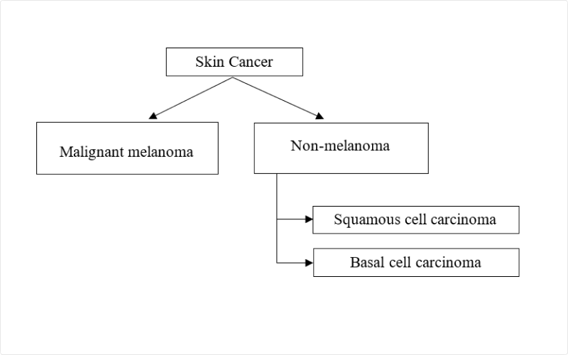 A diagram showing the classification of skin cancer based on the type of cells affected. The diagram has three main branches: basal cell carcinoma, squamous cell carcinoma, and melanoma. Basal cell carcinoma and squamous cell carcinoma are classified as non-melanoma skin cancers and originate from the epidermis, the outermost layer of the skin. Melanoma is a type of skin cancer that develops from melanocytes, the pigment-producing cells in the epidermis. The diagram also shows the relative frequency and mortality rates of each type of skin cancer, with basal cell carcinoma being the most common and least deadly, and melanoma being the least common and most deadly